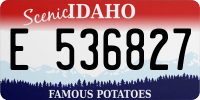 ID license plate E536827