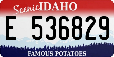 ID license plate E536829