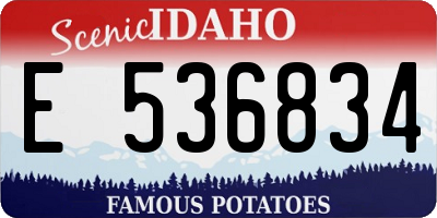 ID license plate E536834