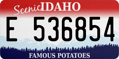 ID license plate E536854