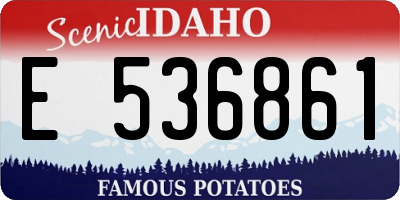 ID license plate E536861