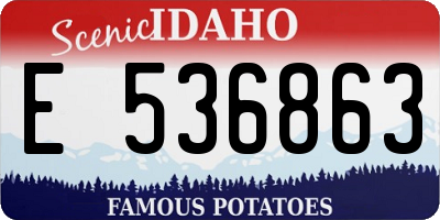 ID license plate E536863