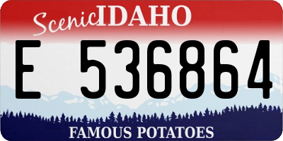 ID license plate E536864