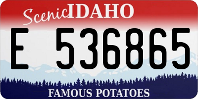 ID license plate E536865