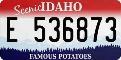 ID license plate E536873