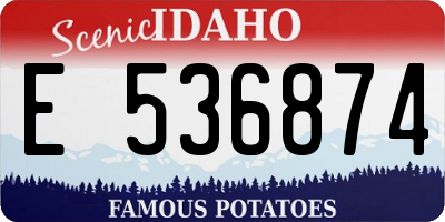ID license plate E536874