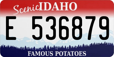 ID license plate E536879