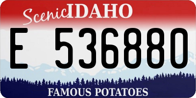 ID license plate E536880