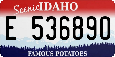 ID license plate E536890