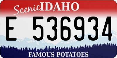 ID license plate E536934