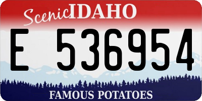 ID license plate E536954