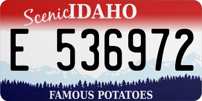 ID license plate E536972
