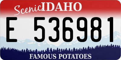 ID license plate E536981