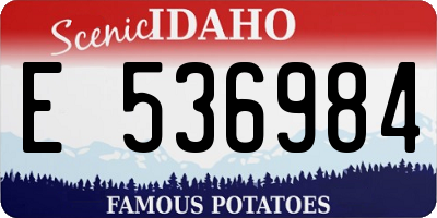 ID license plate E536984