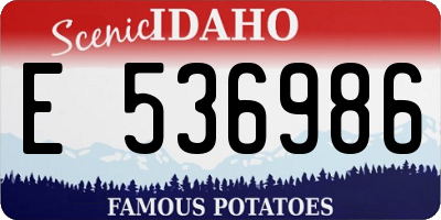 ID license plate E536986