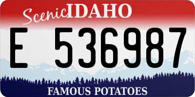 ID license plate E536987