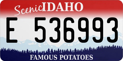 ID license plate E536993