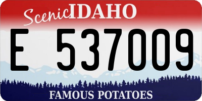 ID license plate E537009