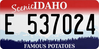ID license plate E537024