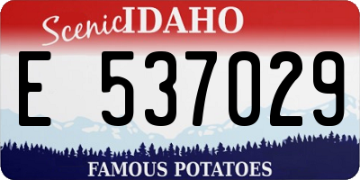 ID license plate E537029
