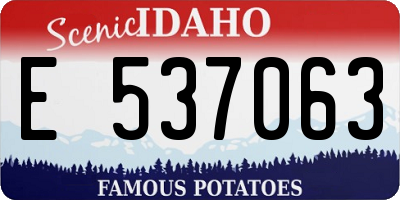 ID license plate E537063