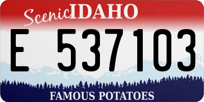 ID license plate E537103