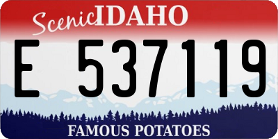 ID license plate E537119