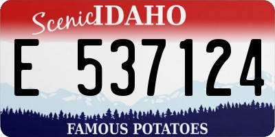 ID license plate E537124