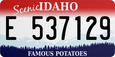 ID license plate E537129