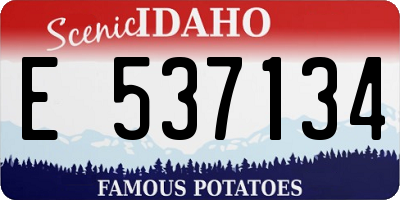ID license plate E537134