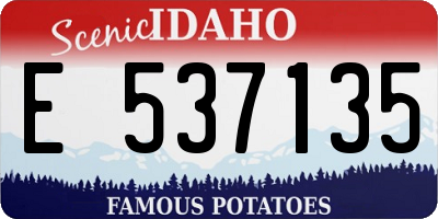 ID license plate E537135
