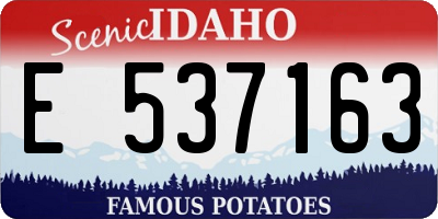 ID license plate E537163