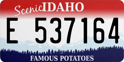 ID license plate E537164