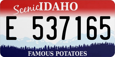 ID license plate E537165