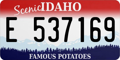 ID license plate E537169