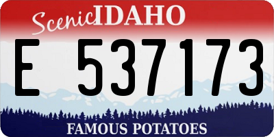ID license plate E537173
