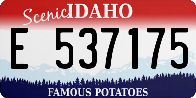 ID license plate E537175