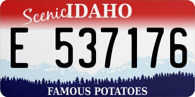 ID license plate E537176