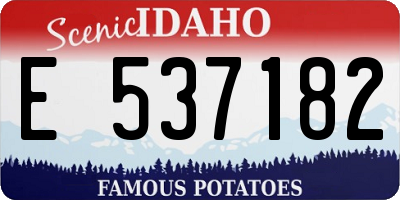 ID license plate E537182