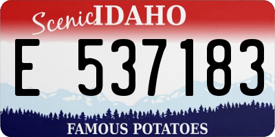 ID license plate E537183