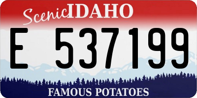 ID license plate E537199