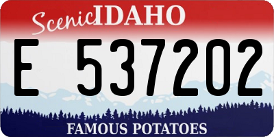 ID license plate E537202