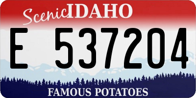 ID license plate E537204
