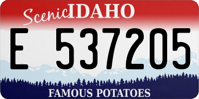 ID license plate E537205