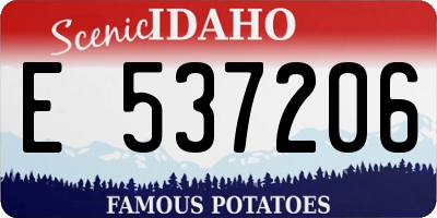 ID license plate E537206