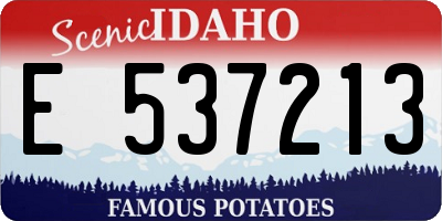 ID license plate E537213