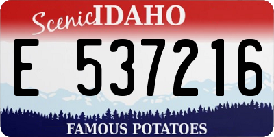 ID license plate E537216