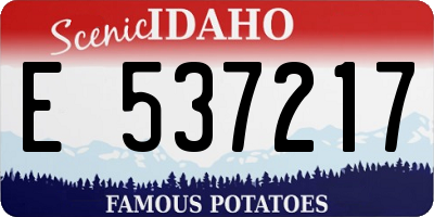 ID license plate E537217