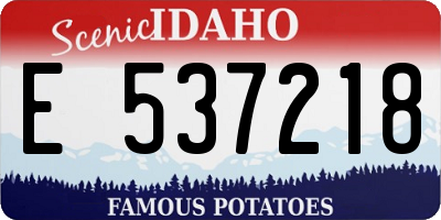 ID license plate E537218