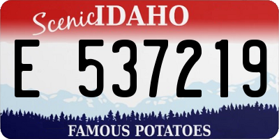 ID license plate E537219